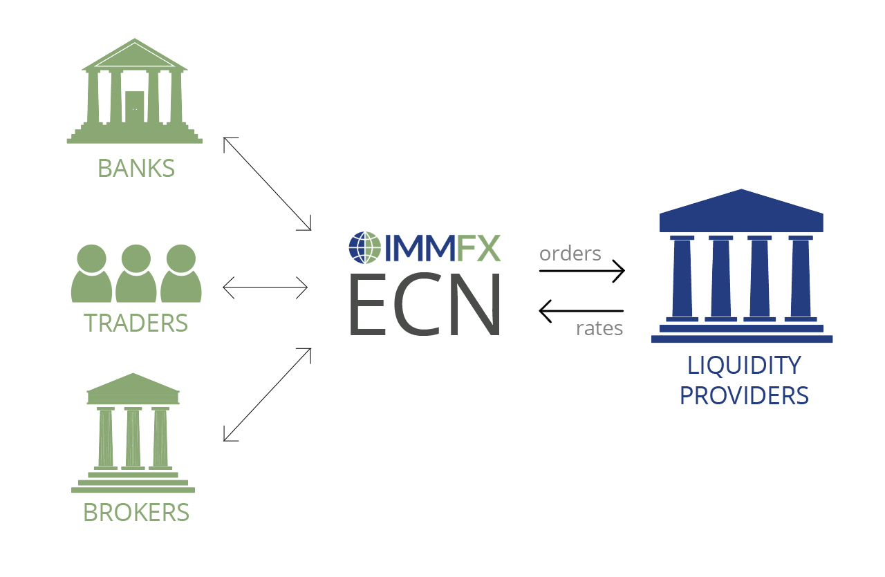 ECN Trading Advantages with IMMFX