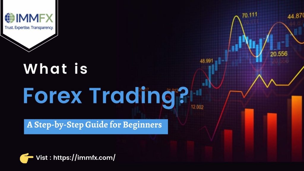 IMMFX - what is forex trading? A step-by-step guide for beginners.