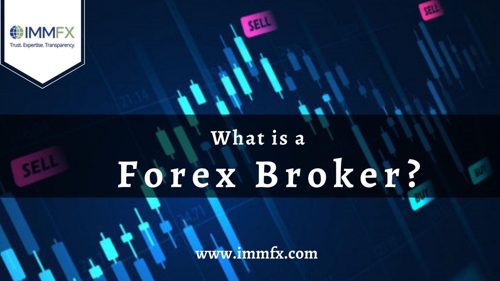 What is a Forex Broker?